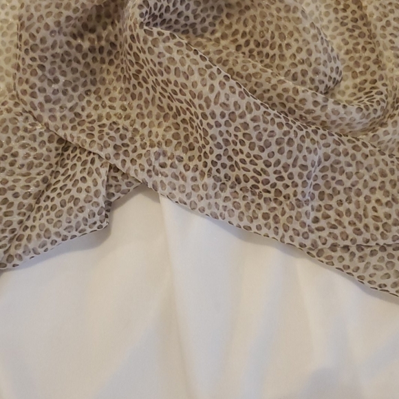 🐆 - Picture 6 of 6